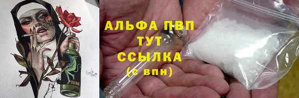 прущие грибы Армянск