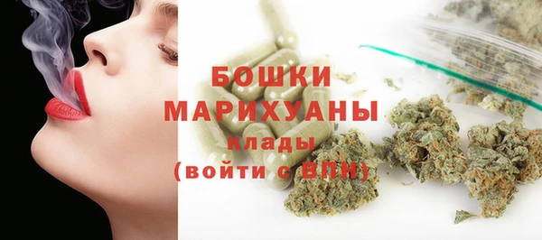 прущие грибы Армянск