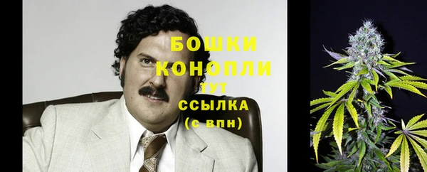 круглые Аркадак