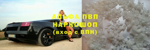 прущие грибы Армянск