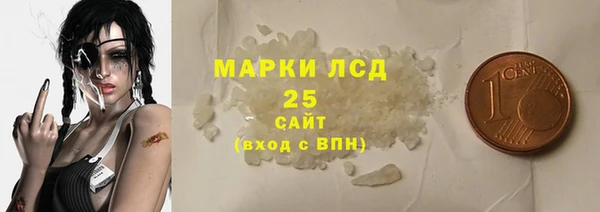 прущие грибы Армянск
