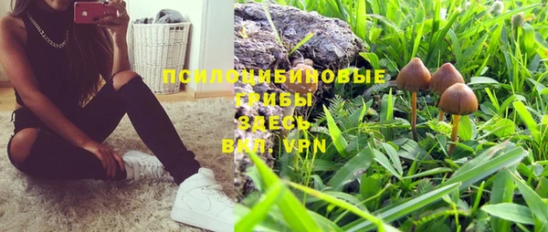 не бодяженный Арсеньев