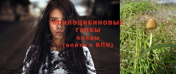 круглые Аркадак