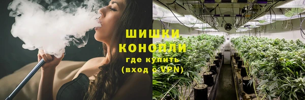 не бодяженный Арсеньев