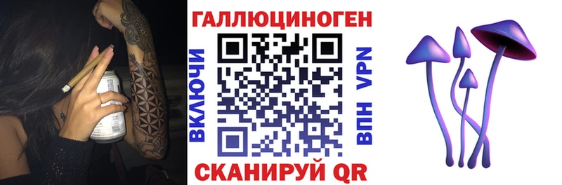 hydra вход как найти закладки Нефтекумск Псилоцибиновые грибы Magic Shrooms